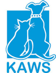 cropped-cropped-kaws-logo-smaller